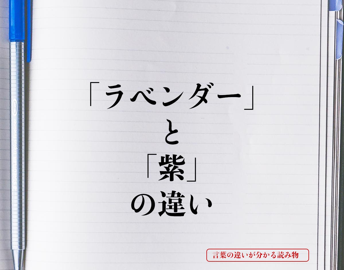 「ラベンダー」と「紫」の違いとは？