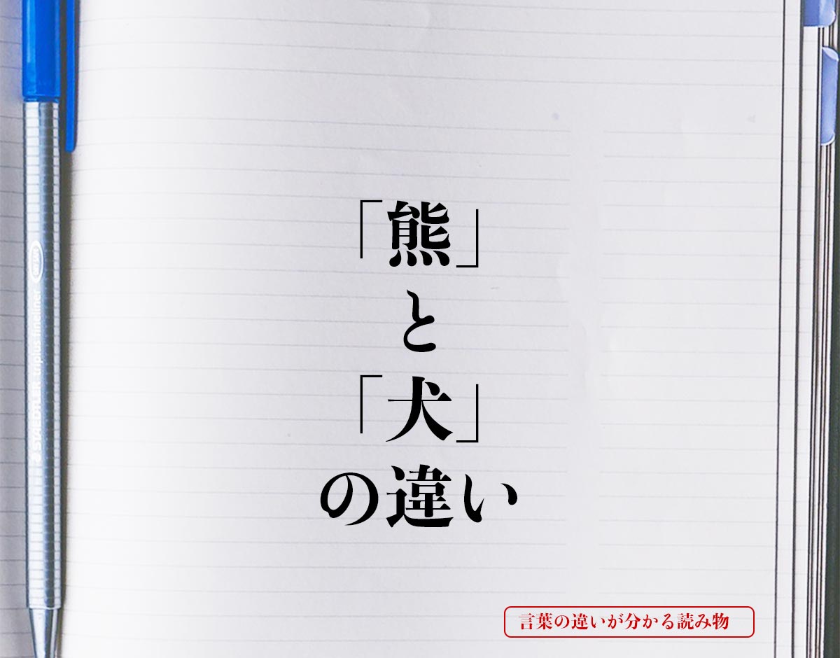 「熊」と「犬」の違いとは？