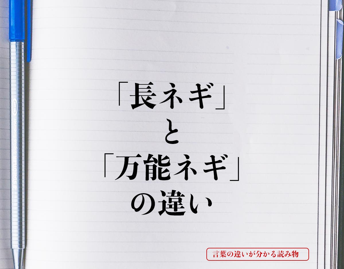 「長ネギ」と「万能ネギ」の違いとは？