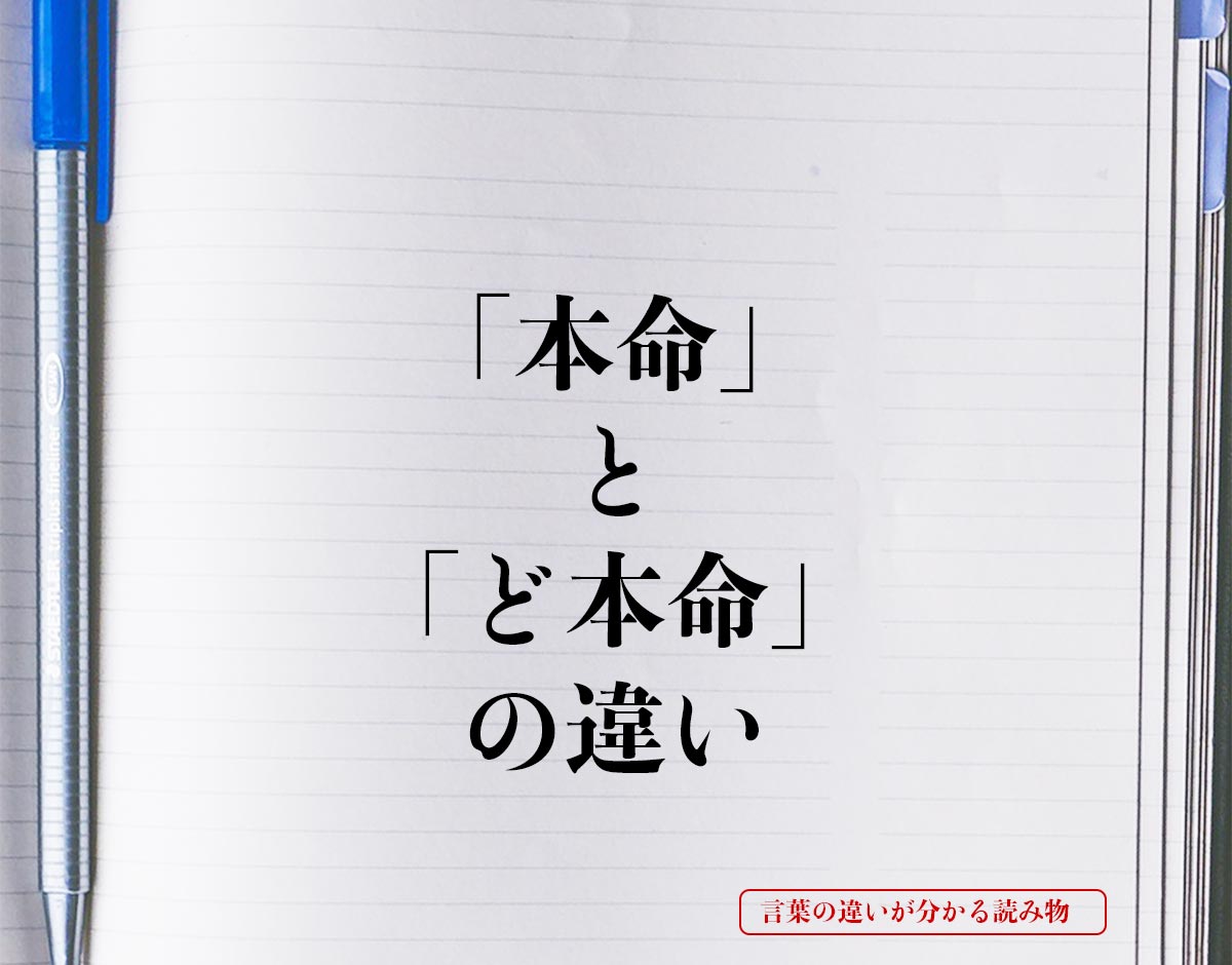 「本命」と「ど本命」の違いとは？