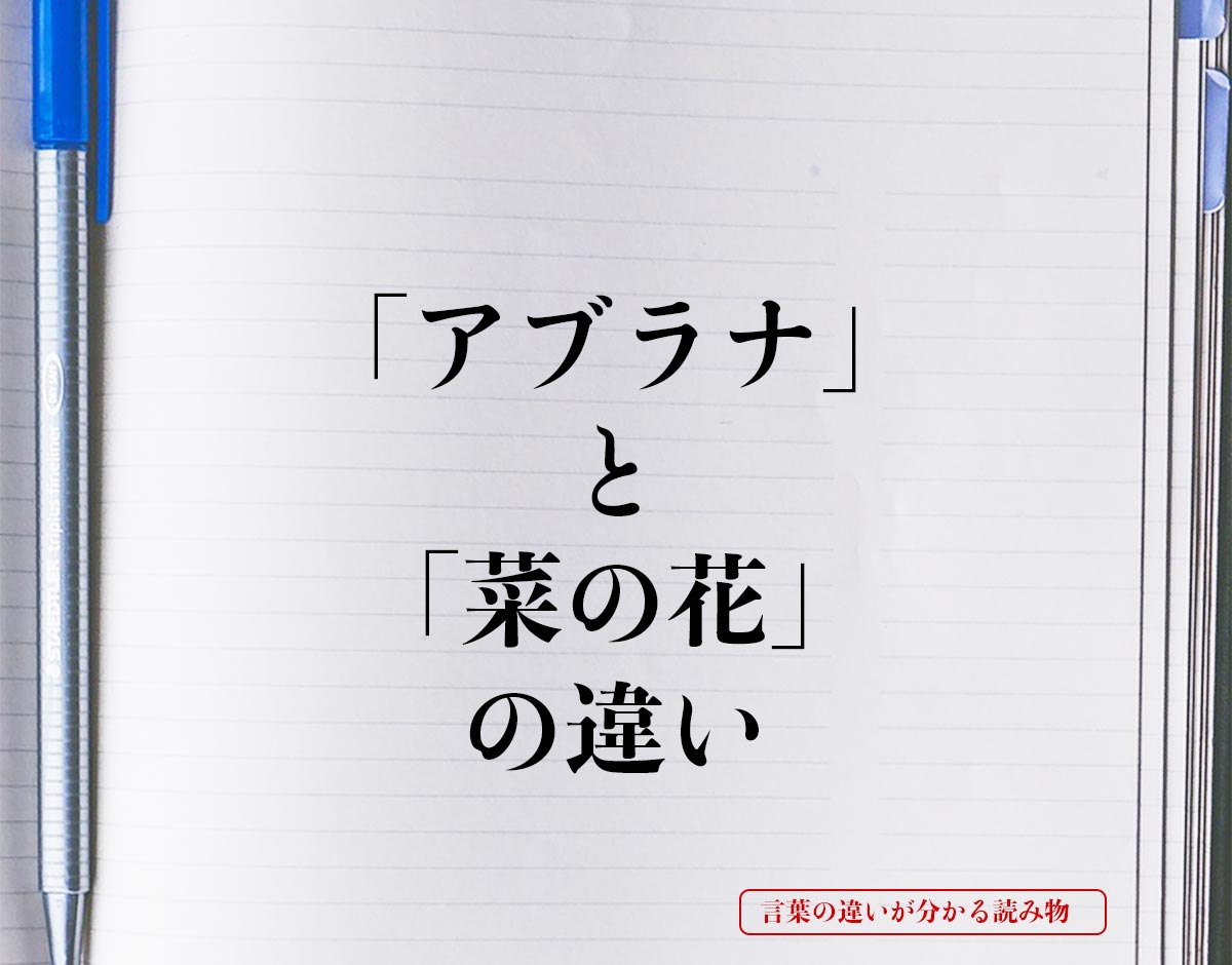 「アブラナ」と「菜の花」の違いとは？