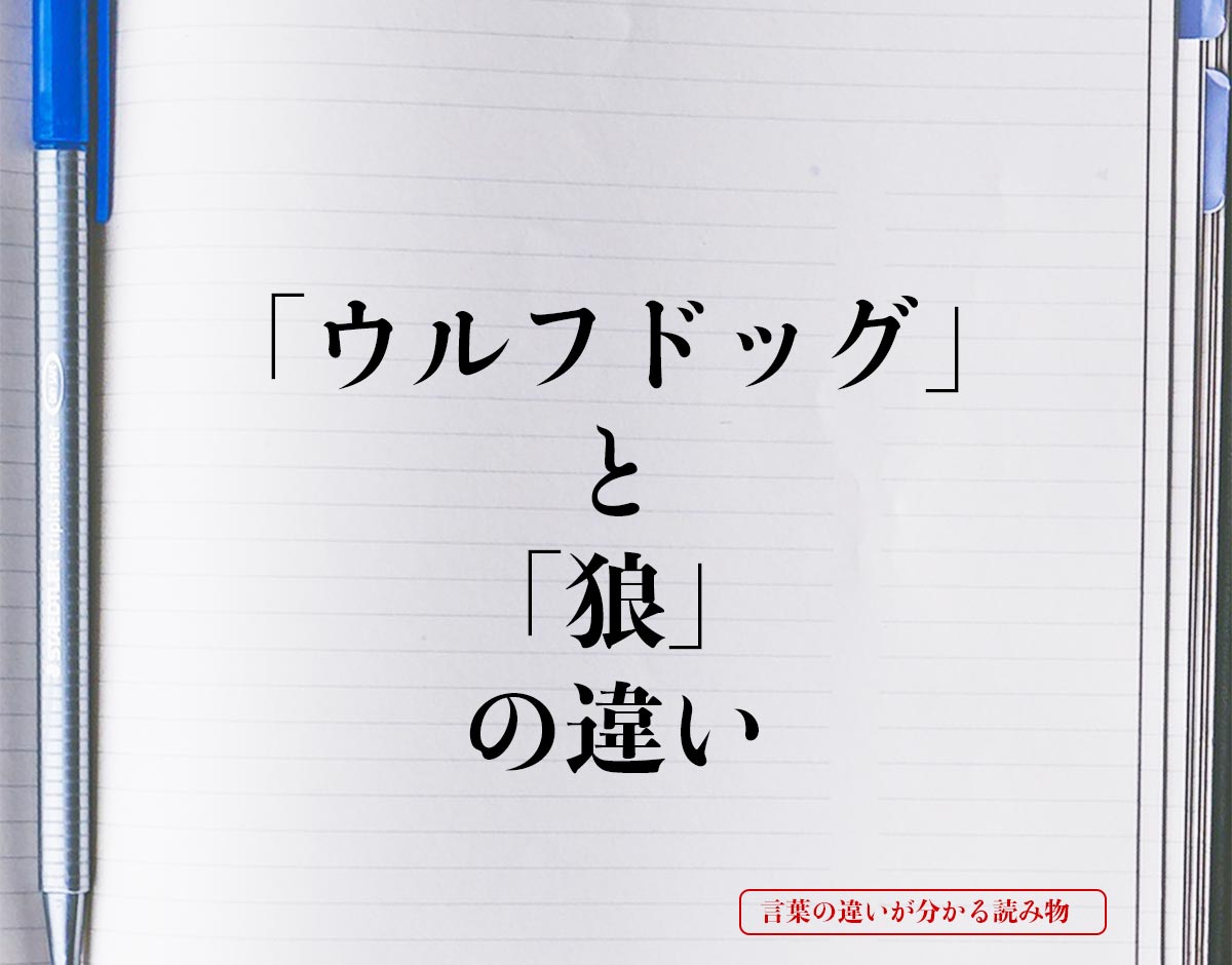 「ウルフドッグ」と「狼」の違いとは？