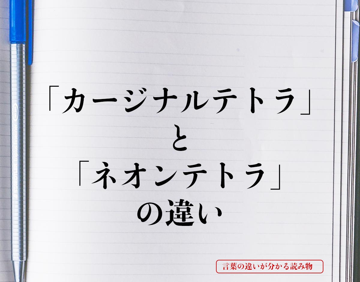 「カージナルテトラ」と「ネオンテトラ」の違いとは？