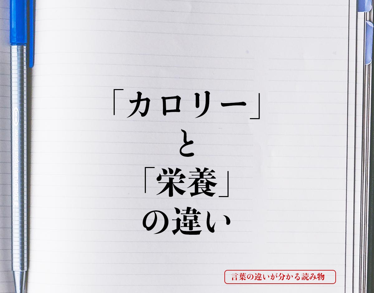 「カロリー」と「栄養」の違いとは？