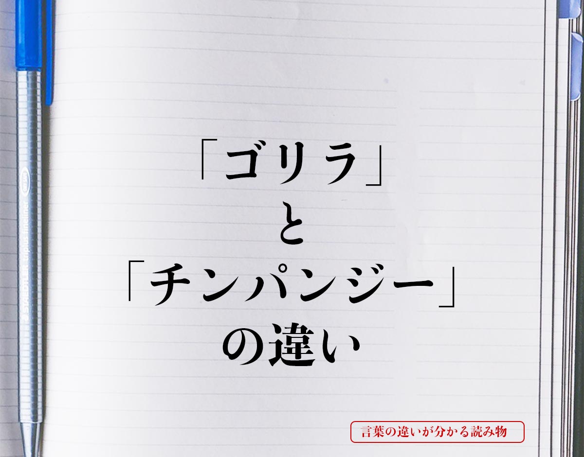 「ゴリラ」と「チンパンジー」の違いとは？