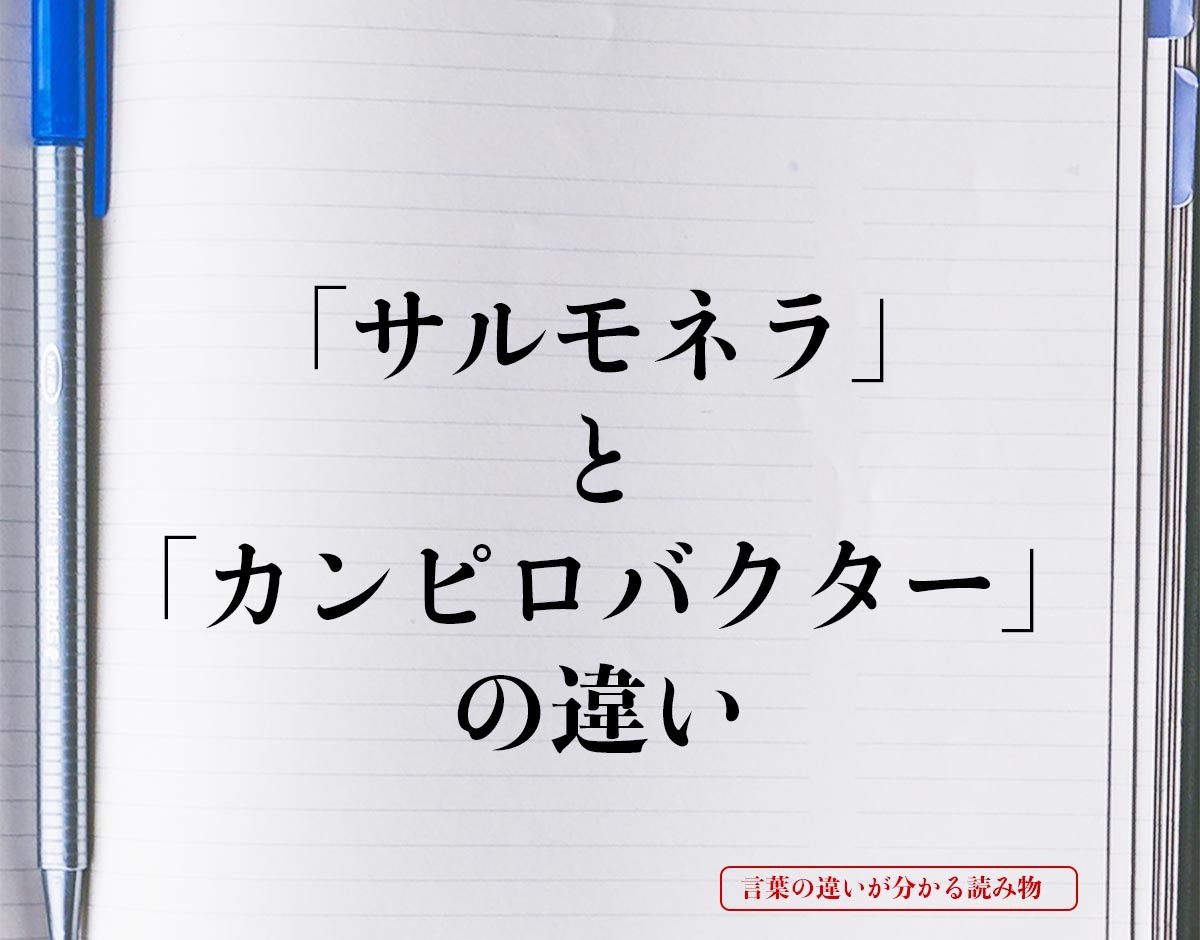 「サルモネラ」と「カンピロバクター」の違いとは？