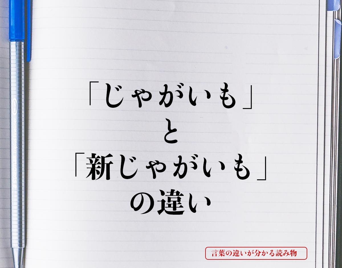 「じゃがいも」と「新じゃがいも」の違いとは？