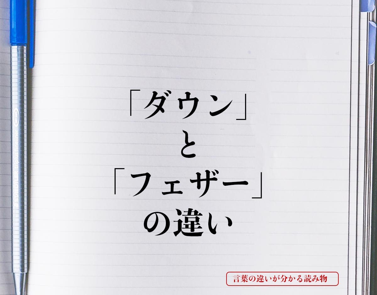 「ダウン」と「フェザー」の違いとは？