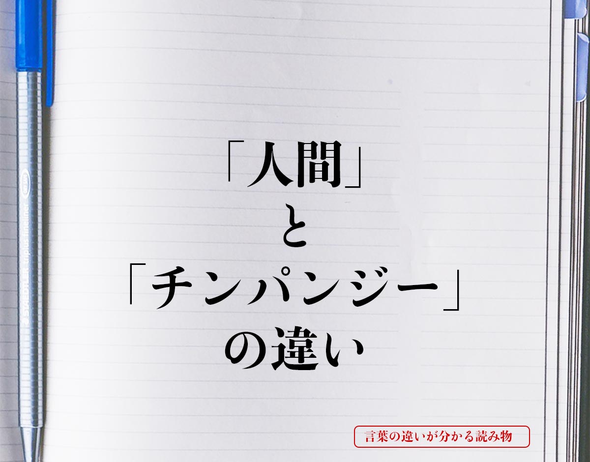 「人間」と「チンパンジー」の違いとは？