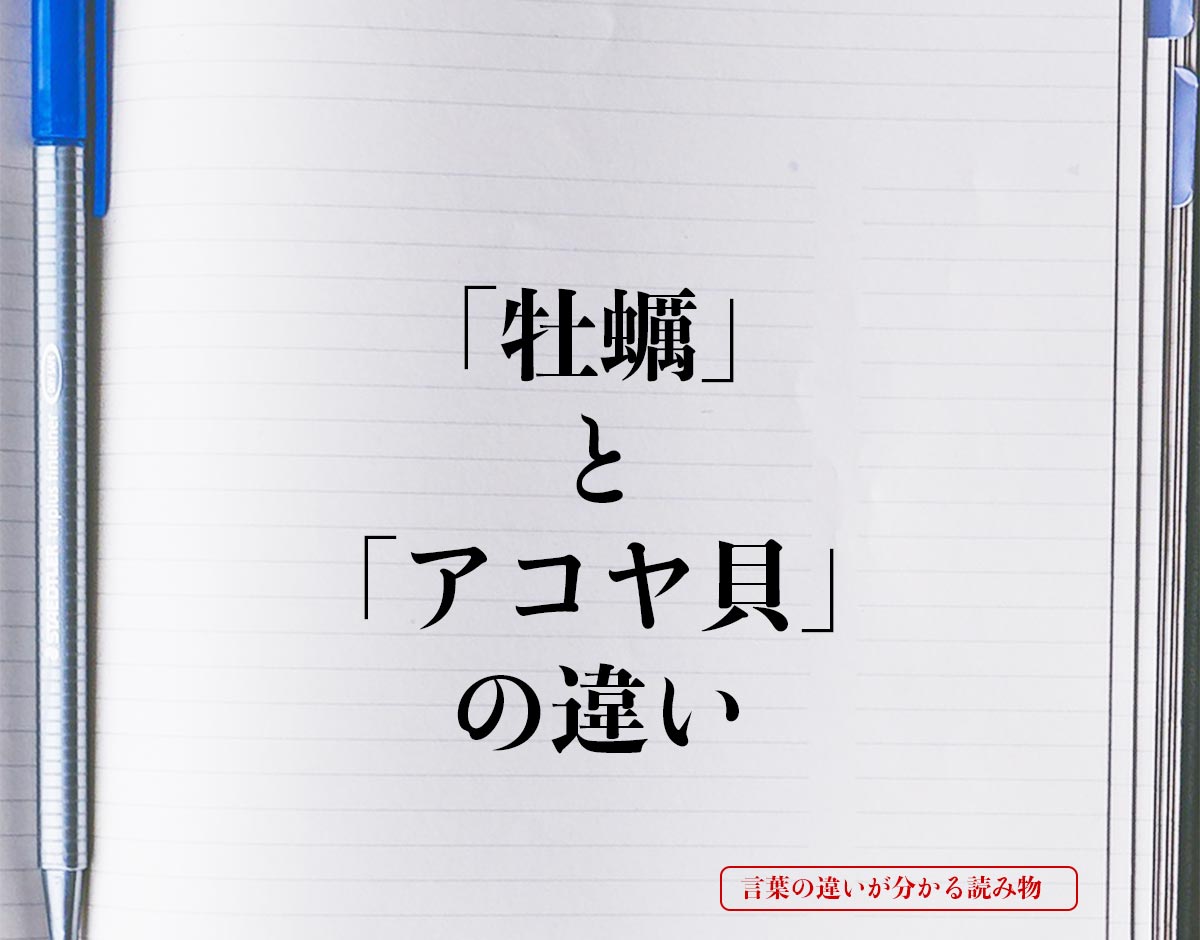 「牡蠣」と「アコヤ貝」の違いとは？