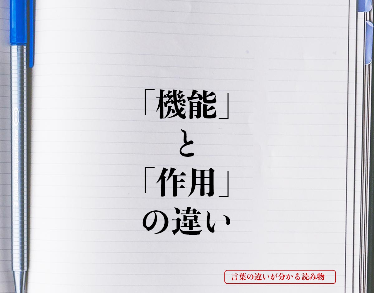 「機能」と「作用」の違いとは？