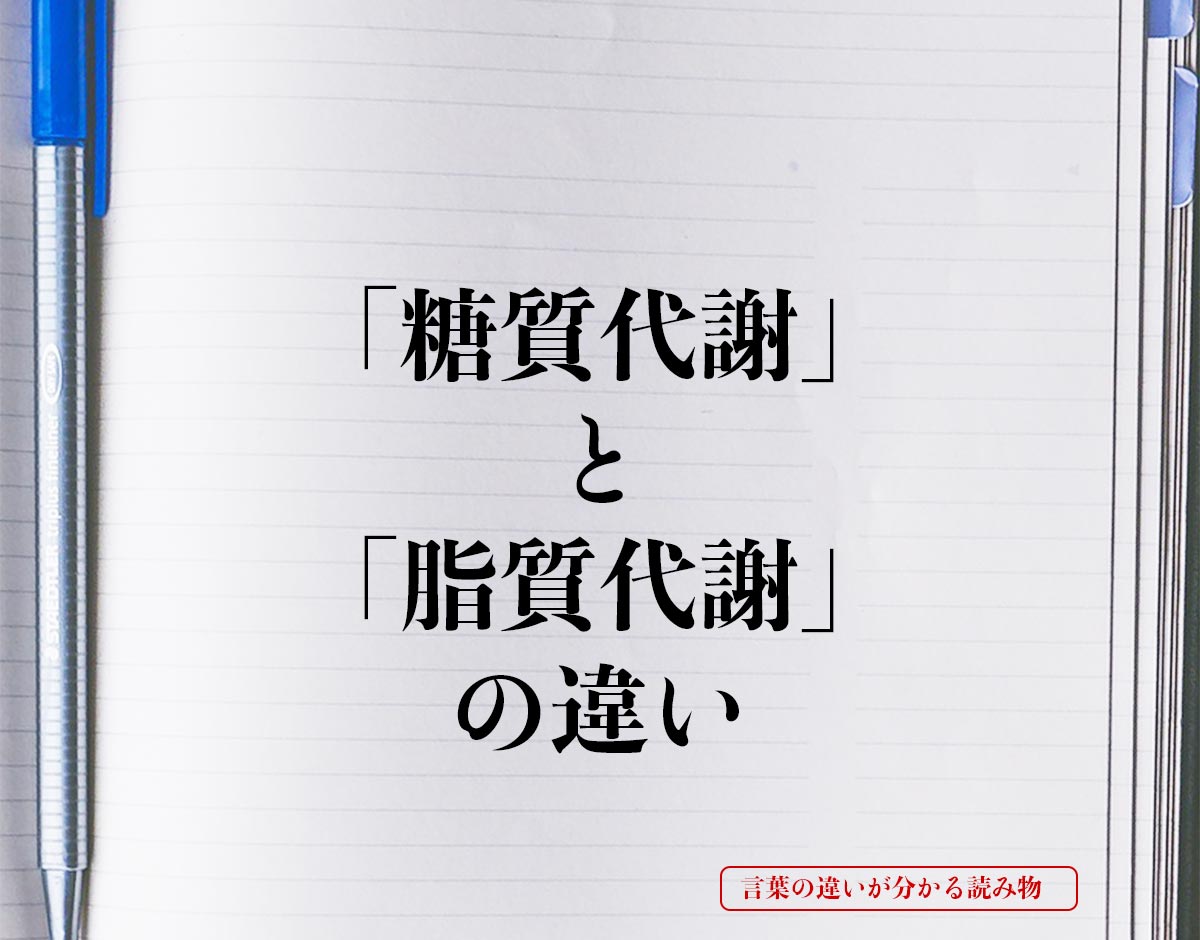 「糖質代謝」と「脂質代謝」の違いとは？