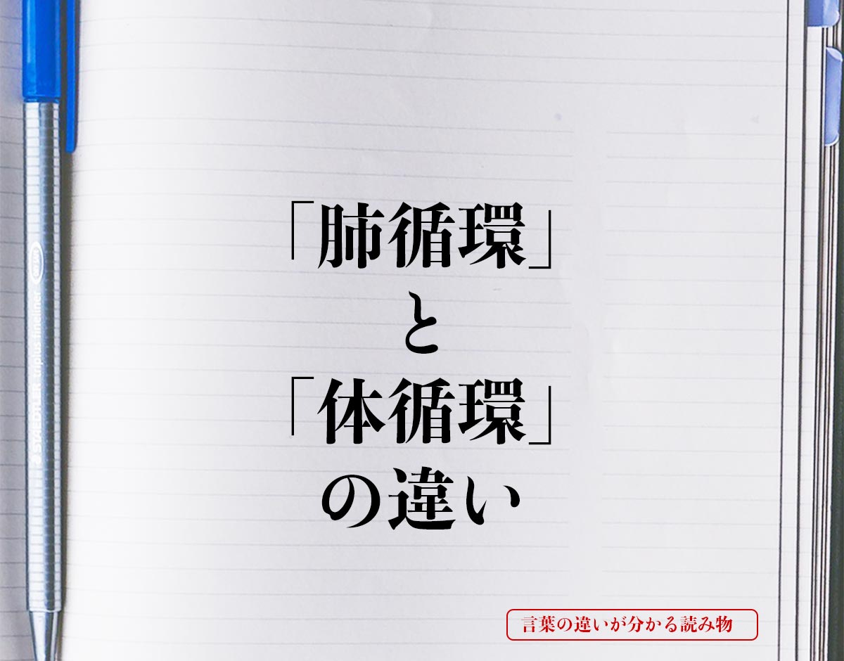 「肺循環」と「体循環」の違いとは？