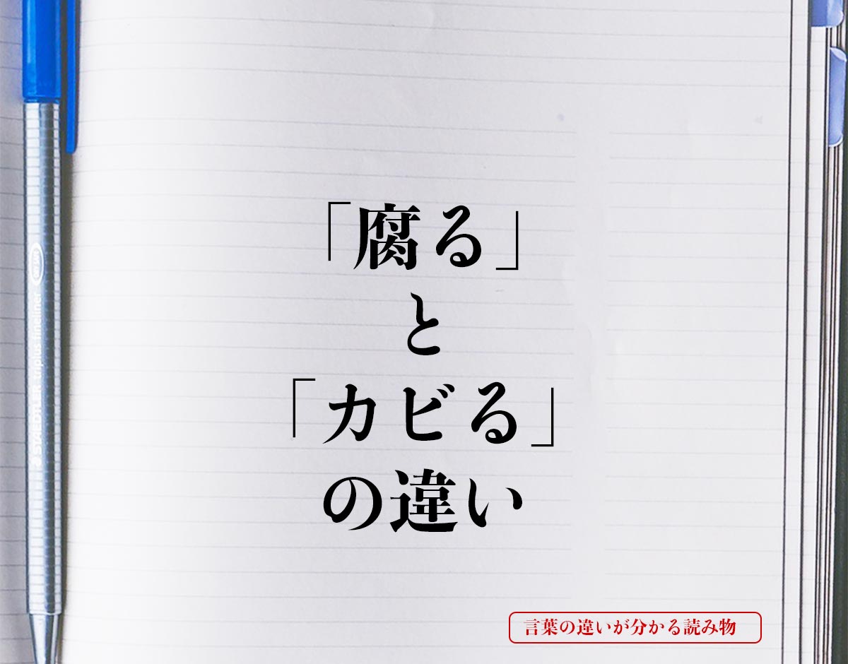 「腐る」と「カビる」の違いとは？