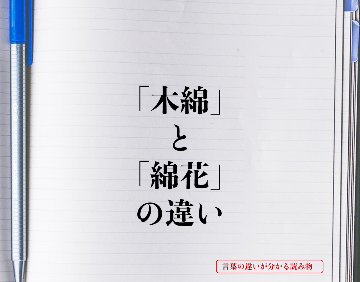 「木綿」と「綿花」の違いとは？